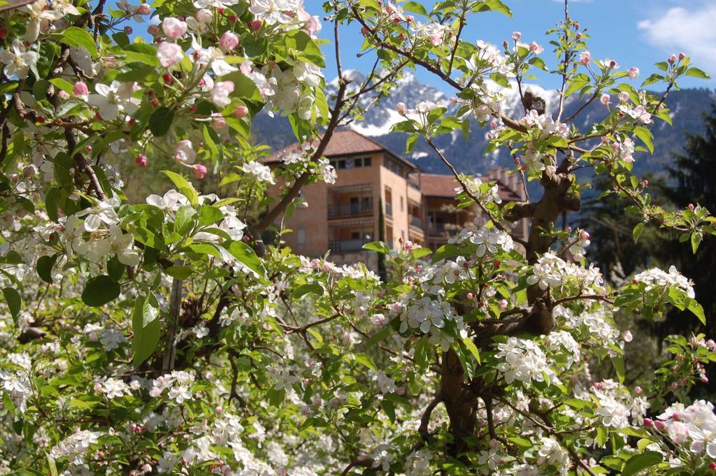 Appartementhaus Am Waalweg Rifiano Esterno foto